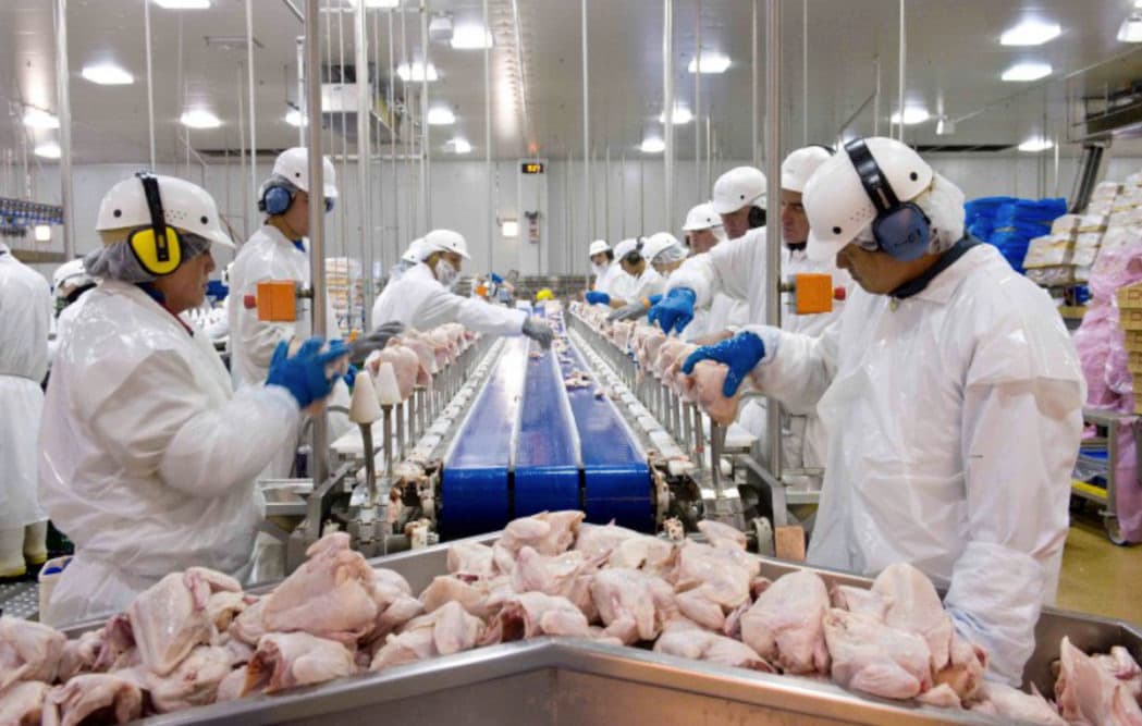 Export product labels and quality-checked frozen chicken packaging