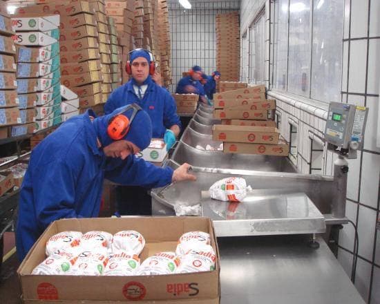 Poultry processing staff handling chicken cuts on the production floor