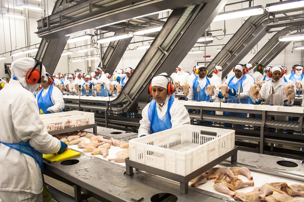 Large-scale poultry processing plant supporting export operations